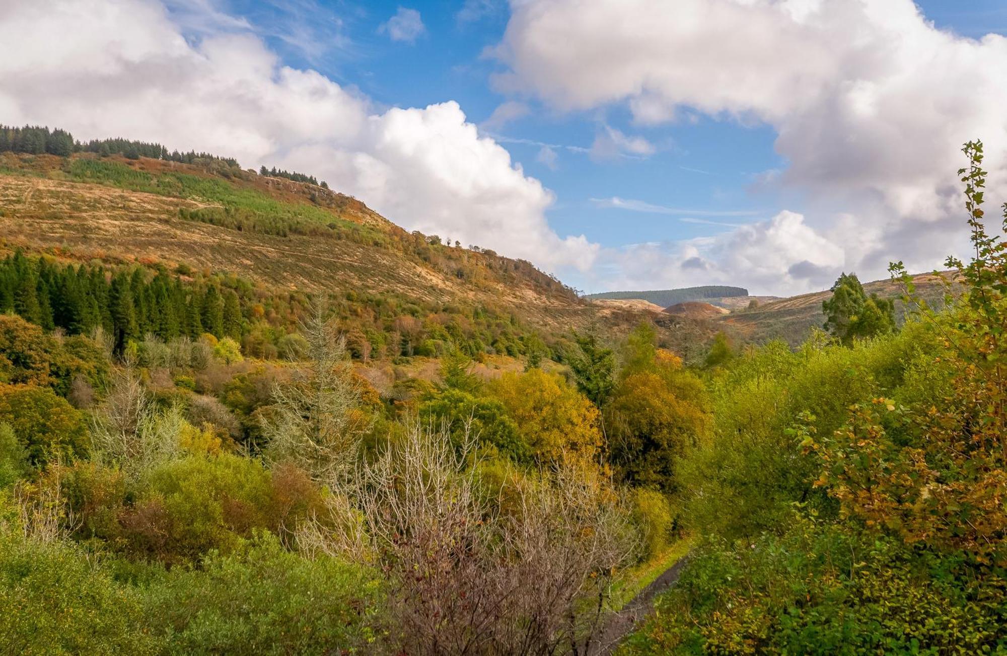 The Nest Superb Apartment In Afan Forest Bike Park By Staystaycations Port Talbot Εξωτερικό φωτογραφία